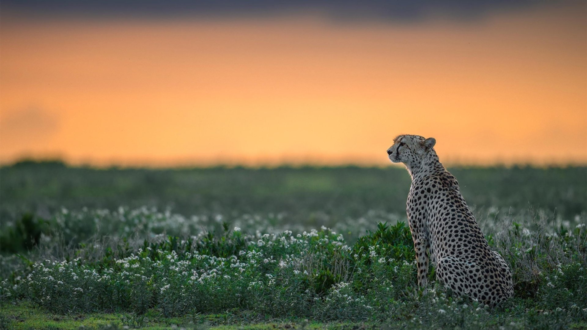 开云网页版登录入口-“法甲争冠形势日趋明朗，豪门竞争激烈”，法甲豪门有哪些