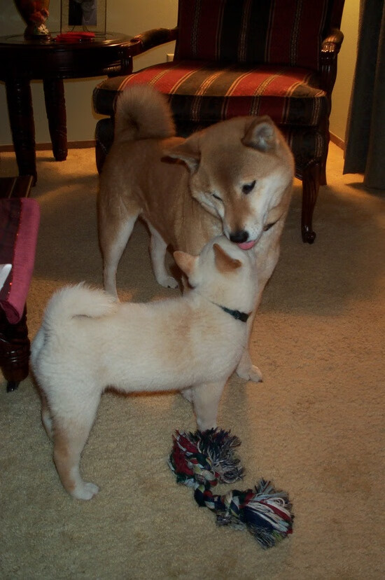 “法甲争冠形势渐明,豪门争锋不断”,法甲竞争激烈