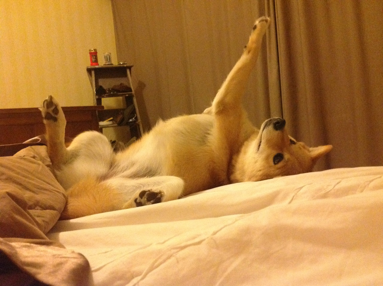 中国女篮在国际友谊赛中豪取胜利，士气高昂，中国女篮国际比赛