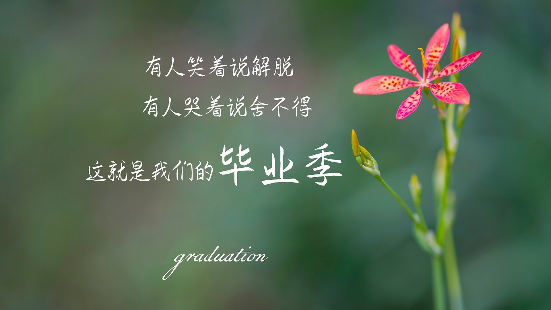 开云中国大陆-中国女篮新 engen团体赛对抗赛扬帆起航，中国队女篮