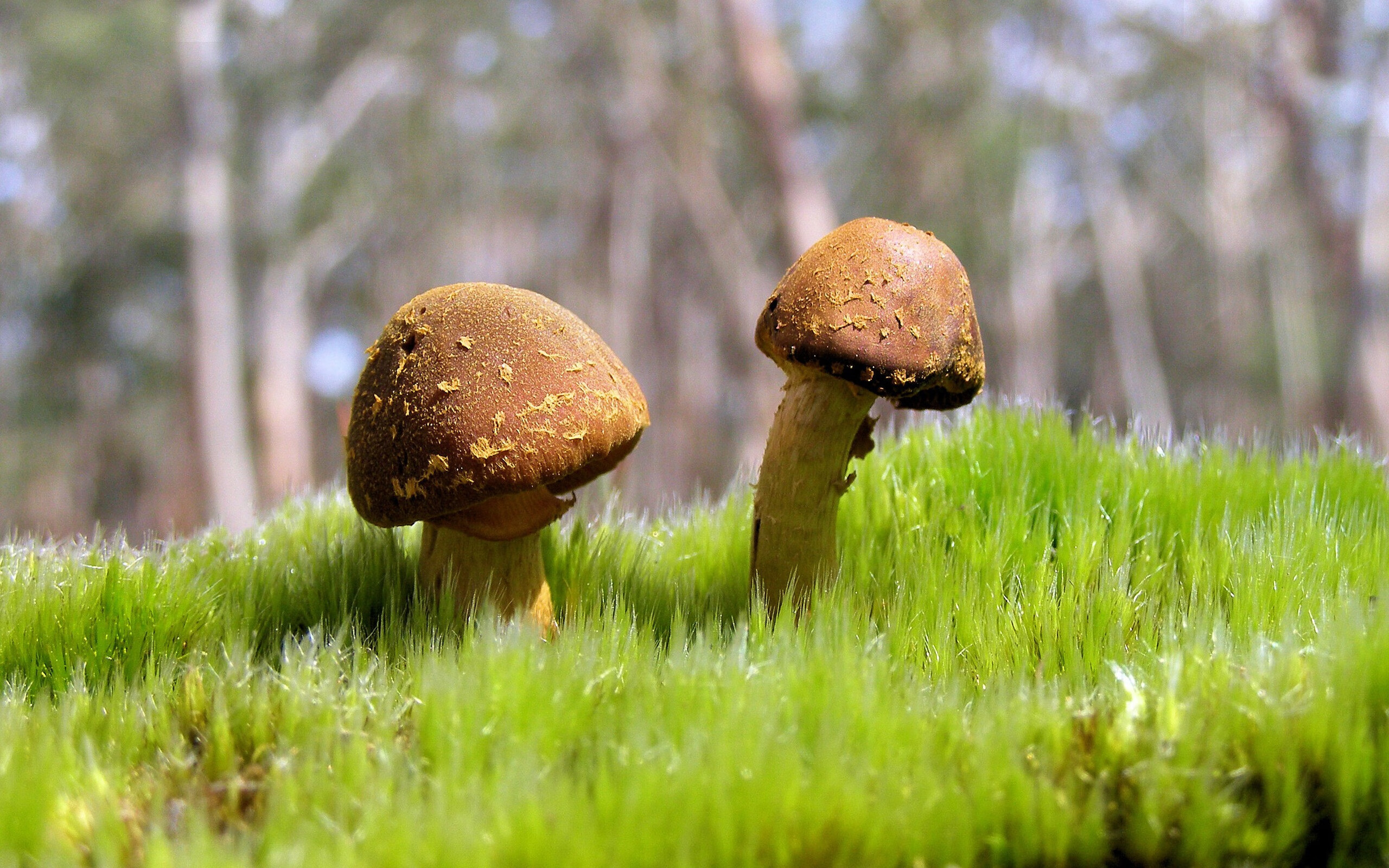 中国女足U20晋级世界杯八强，中国女足u20晋级世界杯八强是谁