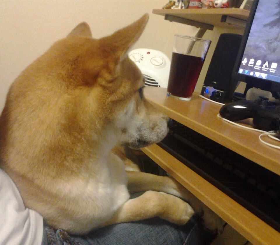 火爆回放:今年最震撼的超车瞬间合集,超车王比赛