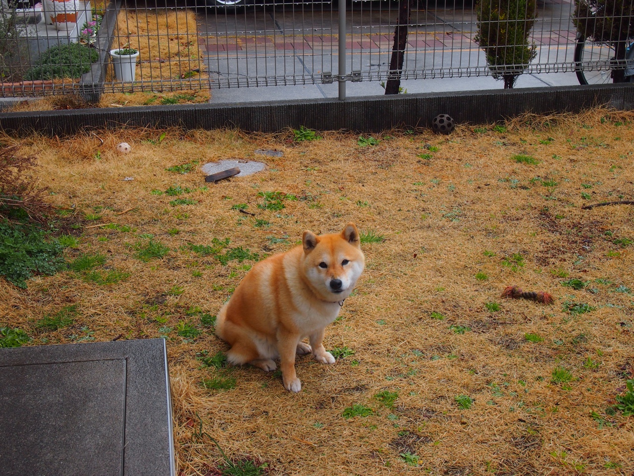 开云体育视频直播-青少年“篮球+科技”互联网创新比赛在广州火热展开，青少年篮球职业联赛