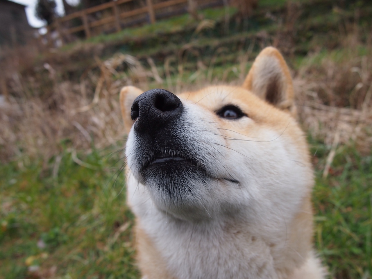kaiyun体育综合-凯撒酋长备战南非国家德比，力争胜利，凯撒的帝国叫什么