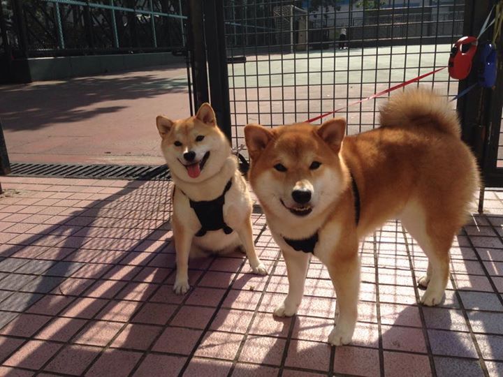 开云网页版-本菲卡球员获月度最佳，本菲卡球员年薪