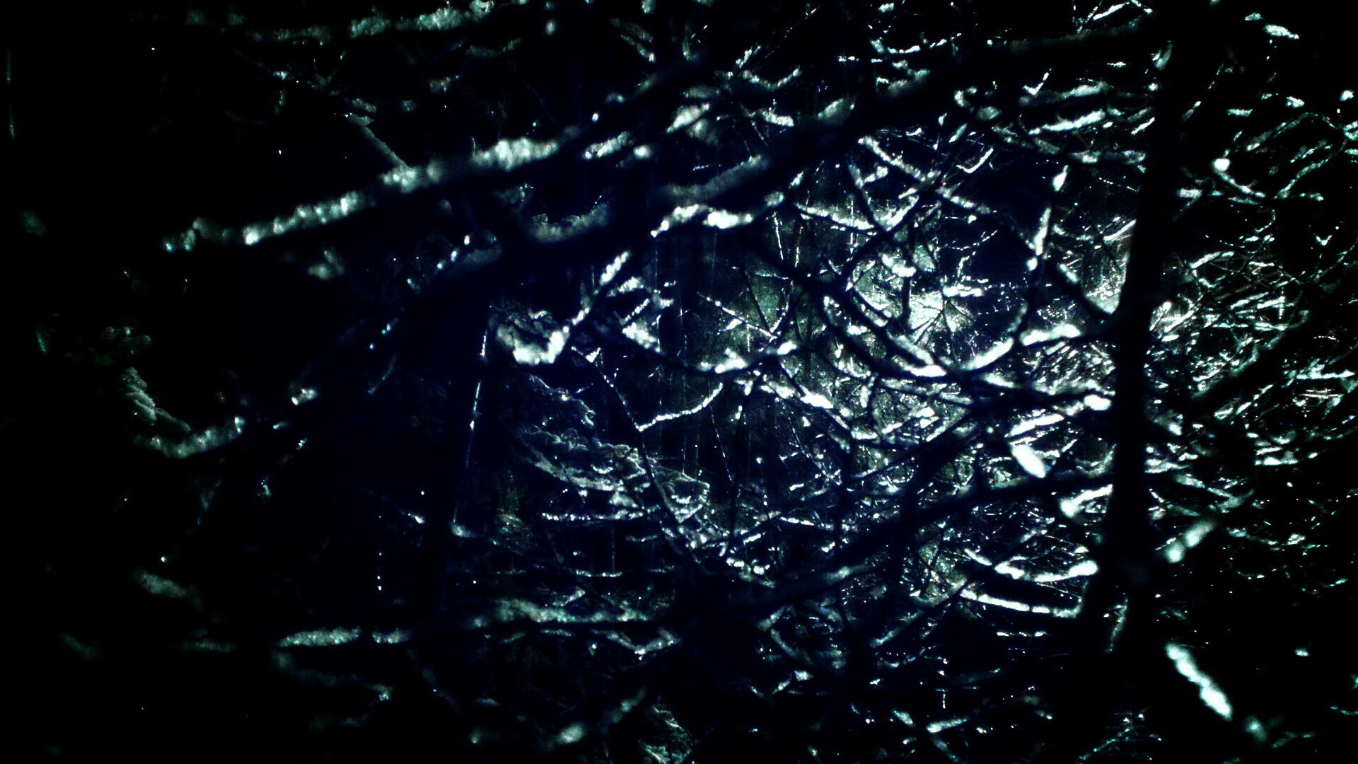 阿根廷队备战世界杯预选赛,目标提前出线,阿根廷世界杯预选赛名单