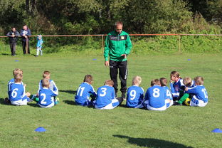 kaiyun 开云体育-中国篮球教练员技术战术创新能力提升路径，篮球教练发展