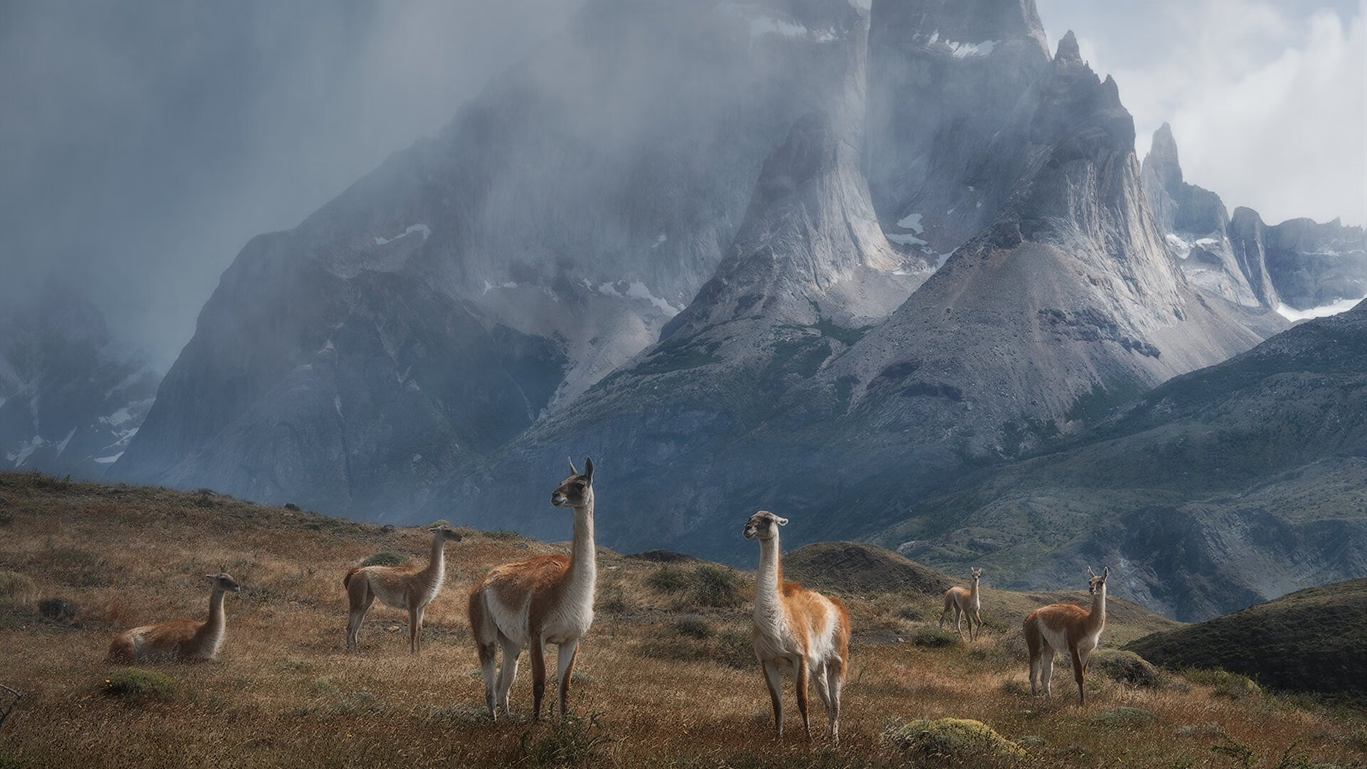 开云·体育官网-DOTA2战队临时换人应对突发情况顺利取胜，dota2 队员