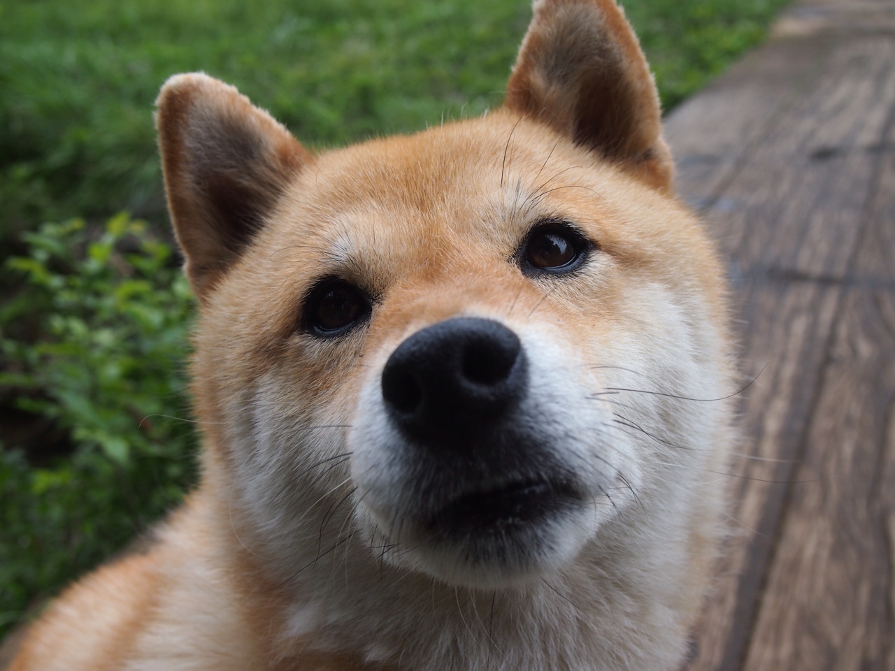 开云平台-中超球员伤病管理流程全面更新，中超联赛球员数据