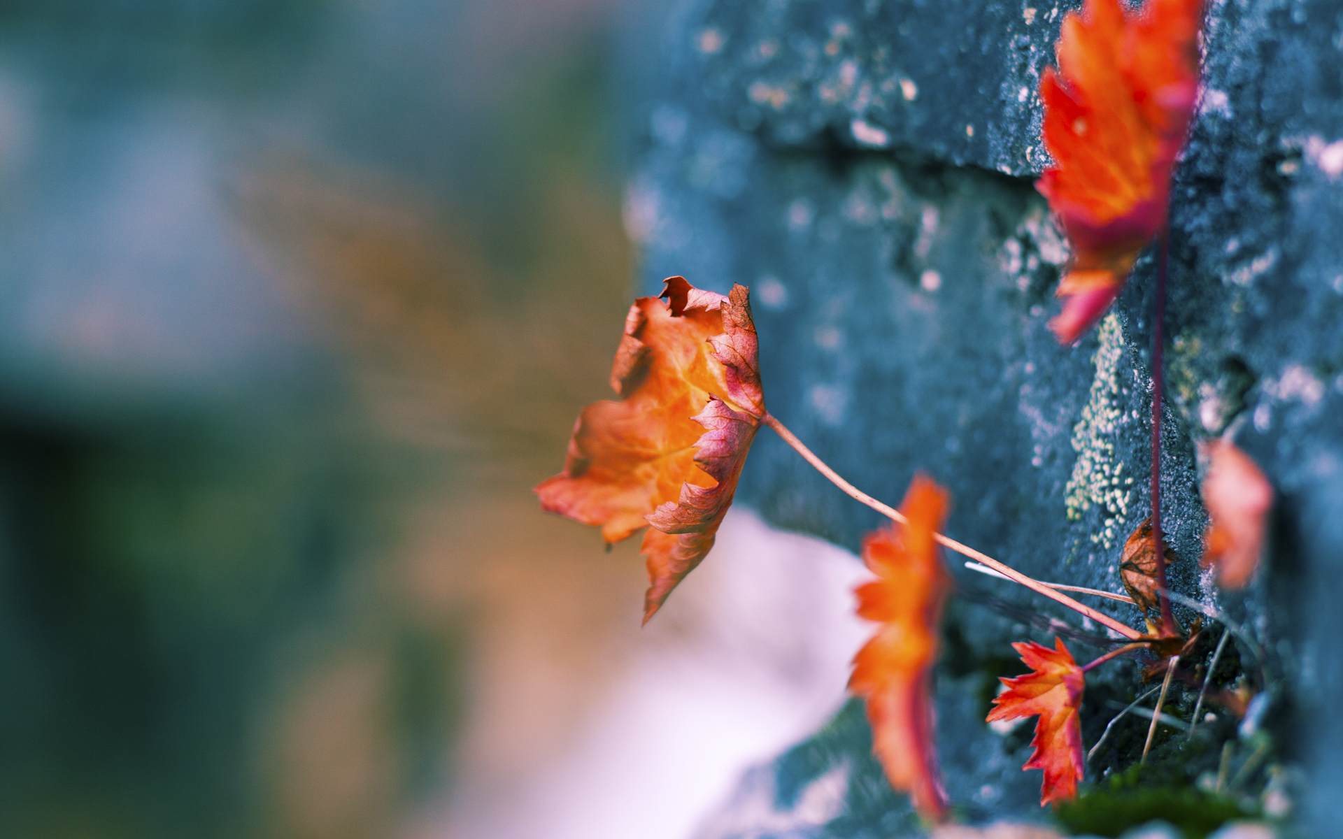 开云平台-全民健身专项资金覆盖更多边远地区，全民健身政府扶持资金