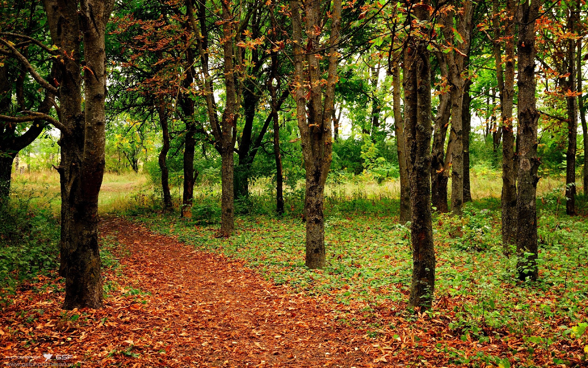 强化高强度对抗训练,适应世界比赛节奏,进行高强度训练