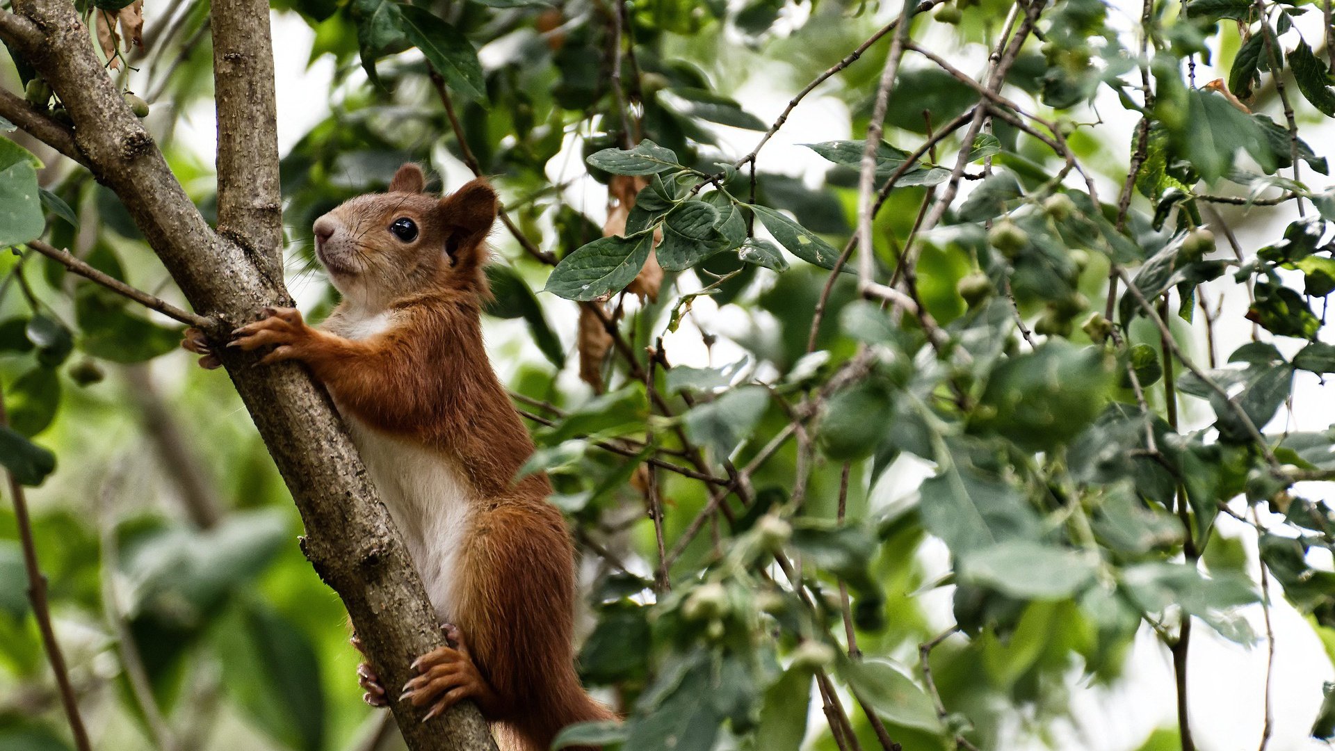 开云官网-校园篮球课程为何缺乏系统化衔接，学校篮球课程开展