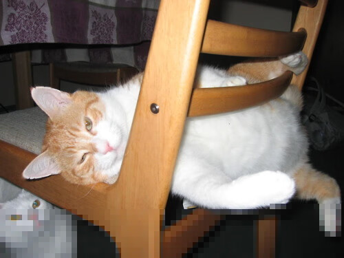 王者荣耀全明星赛即将开启顶级选手集结,王者荣耀全明星争霸赛