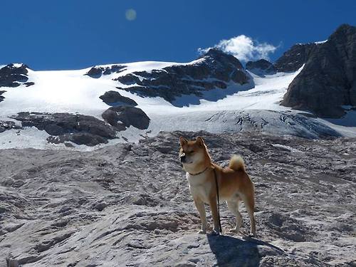 Kaiyun(中国)开云-罗马诺：新月已向努涅斯展示计划，新月罗马音