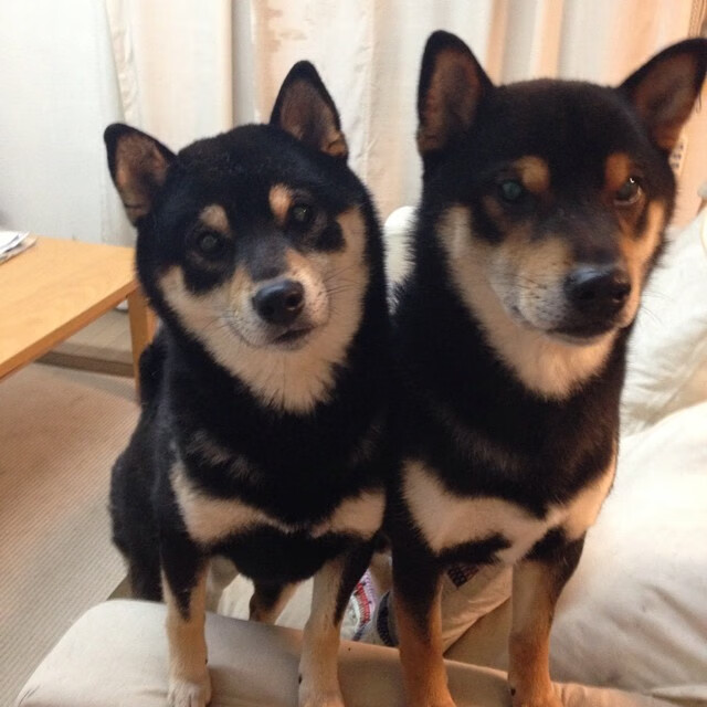 国际足球明星共同推动足球公益,助力青少年成长,国际足球明星名字