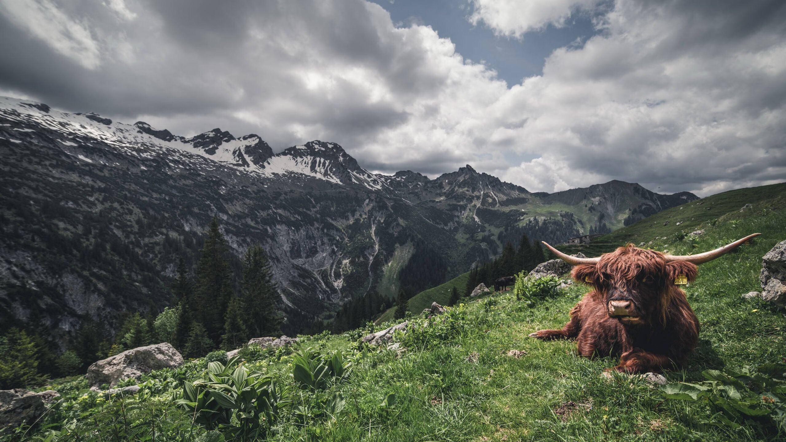 开云官网首页-塞内加尔男篮在非洲锦标赛中奋勇争冠，期待突破历史，塞内加尔男篮nba球员