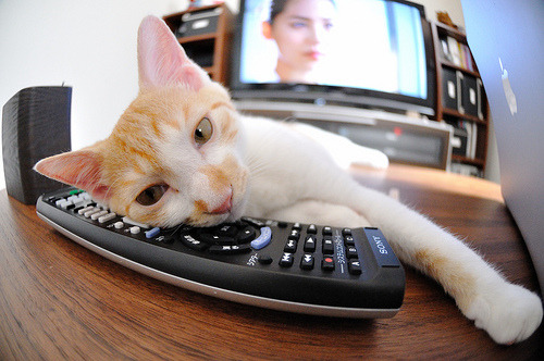 数字化赛事直播平台大幅提升，全球观众可以实时观看比赛，数字体育竞技大赛