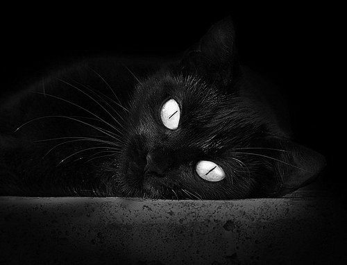 kaiyun体育app-马里特·斯滕伯根100米自由泳赛道亮点，斯科特100米自由泳