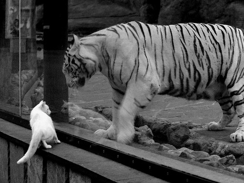 艾比·德尔福:南非队防线的中坚,凭借强大防守完成精准拦截,艾比 里德尔